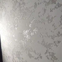 مجری میکروسمنت و انواع پوشش دکوراتیو.۱۰ سال ضمانت