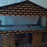 آکواریوم ماهی