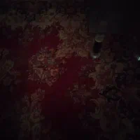 فرش دستبافت|فرش|کرمانشاه, |دیوار