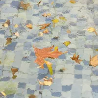 بلاگر و ادمین اینستاگرام