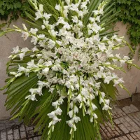 پایه ترحیم
