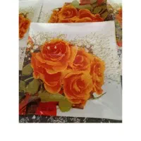 ست دیس وبشقاب نووپاسماوری