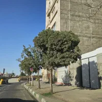 انبار یا جهت کارگاه زمین خالی|اجارهٔ دفتر صنعتی، کشاورزی، تجاری|مشهد, زمرد|دیوار