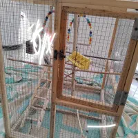 قفس عروس هلندی با چوب روس