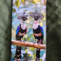 گوشی نوت 8 سامسونگ