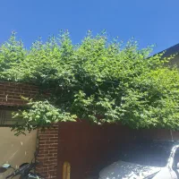۵۰۰متر خانه ویلایی خیابان تختی جهت کافه رستوران