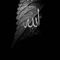 فروش سیم کارت 09181740224