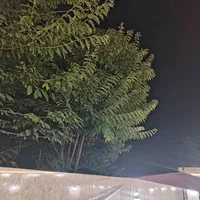 پلاک های مسکونی  باغی کلنگی ویژه مبین بالو|فروش زمین و ملک کلنگی|گوراب زرمیخ, |دیوار