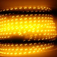 ریسه شیلنگی آبی|ریسه و چراغ تزئینی|شاهین‌شهر, سعدی جنوبی|دیوار