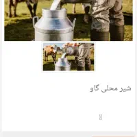 شیر تازه گاو