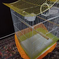 قفس پرنده|لوازم جانبی حیوانات|ری, دیلمان|دیوار
