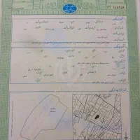 اجاره سند برا ضمانت دادگاه میدم