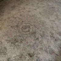 دوعدد فرش توسی مخمل سه بعدی ابریشمی|فرش|ساری, |دیوار