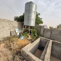 فروش زمین ۵۰۰ متری در آردهه|فروش زمین و ملک کلنگی|هشتگرد, اردهه|دیوار