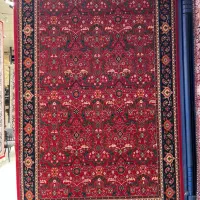 فرش ۷۰۰ شانه ۳۰۰۰ تراکم لاکی|فرش|تهران, سیروس|دیوار