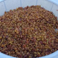 کشمش درجه ی یک