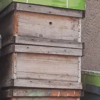 کندوی عسل خالی بدون شکستگی|لوازم جانبی حیوانات|تاکستان, |دیوار