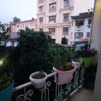 قیام-ـ-تک-واحدی-مبله