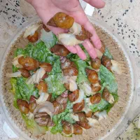 حلزون آچاتینا آلبینو برای حلزونتراپی و تقویت پوست