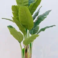 مرکز پخش انواع گل ودرختچه های مصنوعی