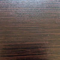 منشی خانم آشنا به وورد و اکسل