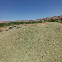 یونجه چین چهارم