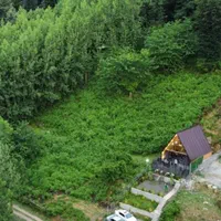 اجاره کلبه سویسی شیک دو خوابه با ویو جنگل در ماسال|اجارهٔ کوتاه‌مدت ویلا و باغ|رشت, منظریه|دیوار