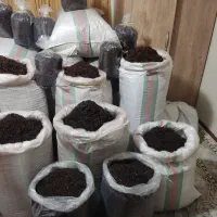 چای ایرانی خوش طعم