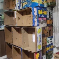 کارتن موزی فروشی