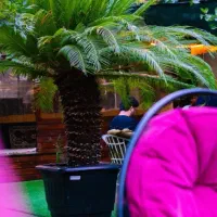 نیروی کار سالنداری