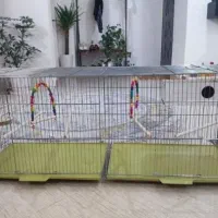 قفس جوجه پران