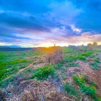زمین ۵۰۰مترب سرمایه گزاری نقد و اقساط معاوضه خودرو|فروش خانه و ویلا|گلبهار, شهر جدید گلبهار|دیوار