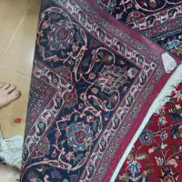 فروش فرش دستباف|فرش|مشهد, سمزقند|دیوار