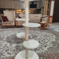 استند گل|گل و گیاه طبیعی|نسیم‌شهر, |دیوار