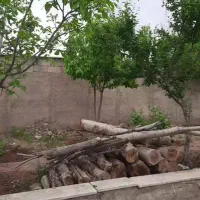 زمین-ویلایی