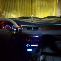 سمندنوک مدادی86