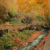 طبعیت گردی دوستانه