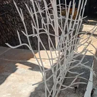 حفاظ شاخ گوزنی