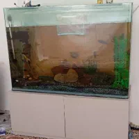 آکواریوم با لوازم