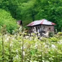 تدریس درس ریاضی دوم وسوم ابتدایی فقط جلسه ای ۲۰۰