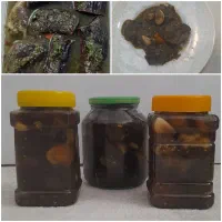 محصولات ارگانیک شمالی|خوردنی و آشامیدنی|قیدار, |دیوار