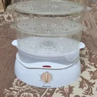 بخار پز همیلتون