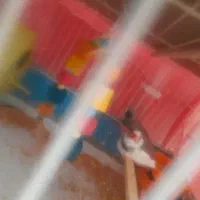 فنچ کار داده