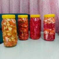 محصولات خانگی ارگانیک|خوردنی و آشامیدنی|شیراز, قصرالدشت|دیوار