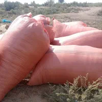 کاه|لوازم جانبی حیوانات|حمیدیه, |دیوار