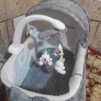 گهواره کودک