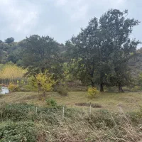 زمین-بر-اتوبان-مناسب-سردخانه