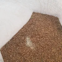 گندم|خوردنی و آشامیدنی|اهواز, زرگان|دیوار