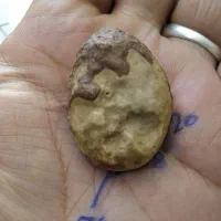 معدنی وکلکسیونی|کلکسیون اشیاء عتیقه|بروجرد, |دیوار