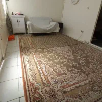 ۵۰متر خوش نقشه